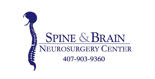 Spine and Brain logo